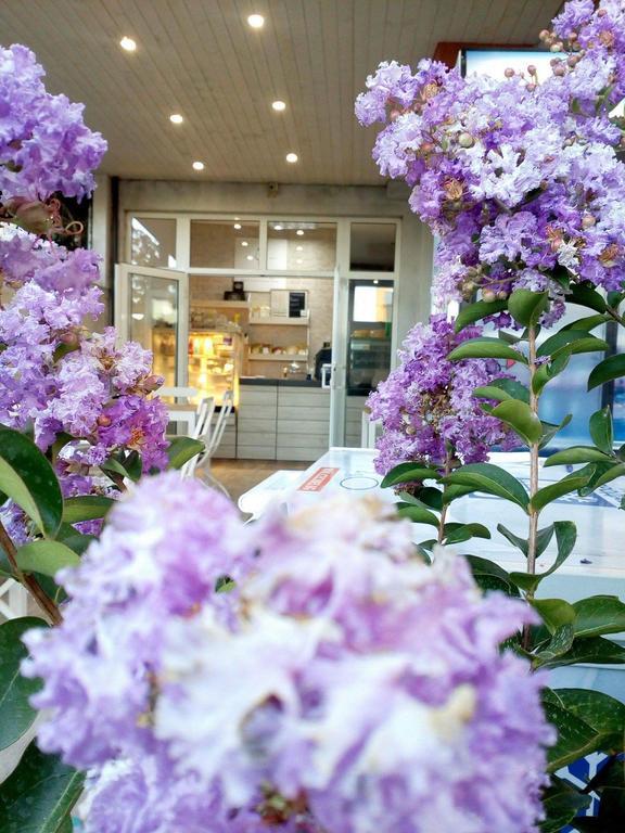 Dream House Hotel Tsarevo Ngoại thất bức ảnh