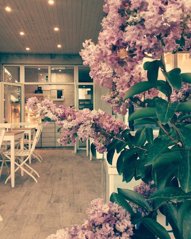 Dream House Hotel Tsarevo Ngoại thất bức ảnh